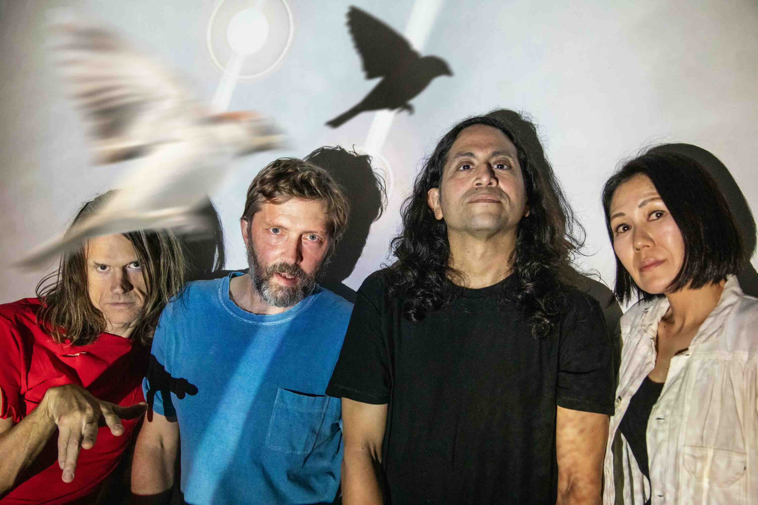 【未開封】Deerhoof Noble and Godlike in Ruin Noble and Godlike in Ruin | Deerhoof